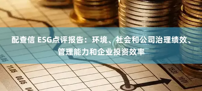 配查信 ESG点评报告：环境、社会和公司治理绩效、管理能力和企业投资效率
