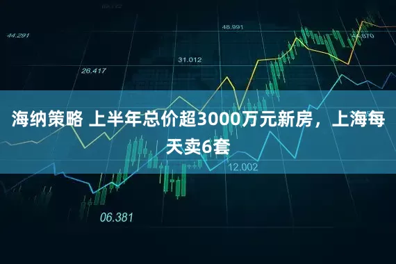 海纳策略 上半年总价超3000万元新房，上海每天卖6套