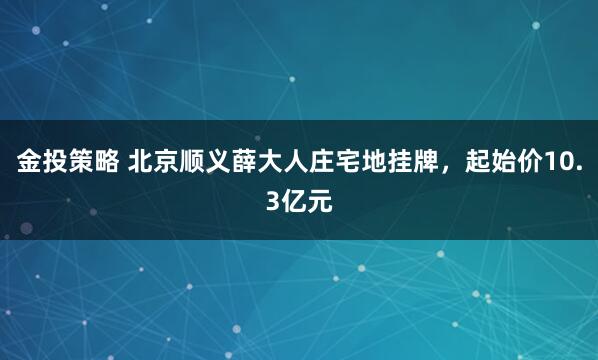 金投策略 北京顺义薛大人庄宅地挂牌，起始价10.3亿元