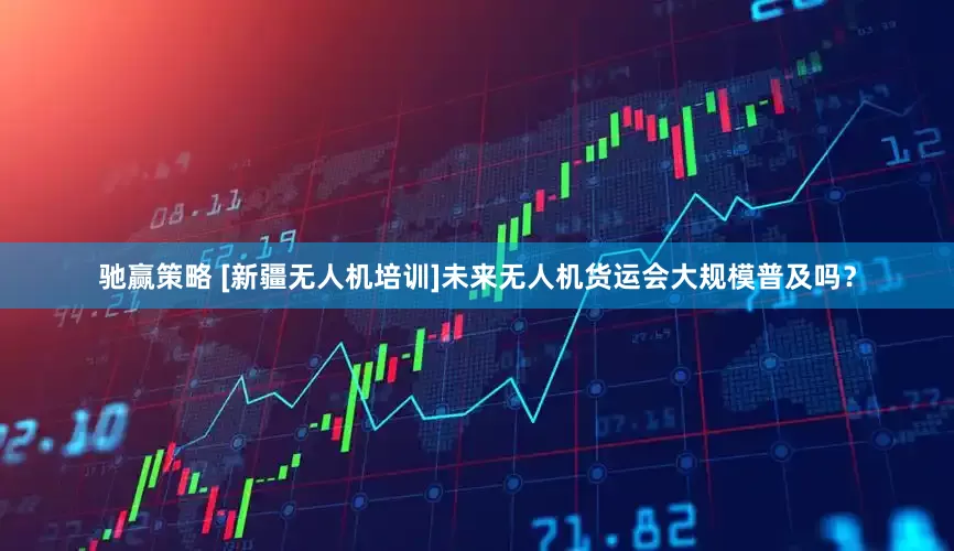 驰赢策略 [新疆无人机培训]未来无人机货运会大规模普及吗？